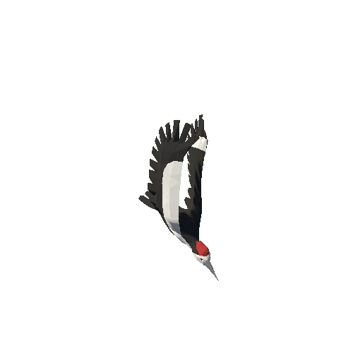 Low Poly Woodpecker